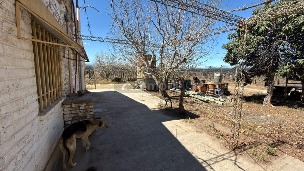 Finca en Venta en Lujan de Cuyo, Mendoza - USD 220.000 | Inmoup - 26