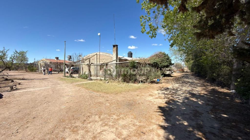 Finca en Venta en Lujan de Cuyo, Mendoza - USD 220.000 | Inmoup - 20