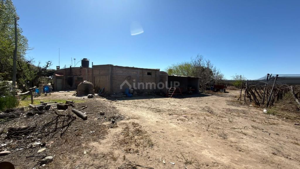Finca en Venta en Lujan de Cuyo, Mendoza - USD 220.000 | Inmoup - 28