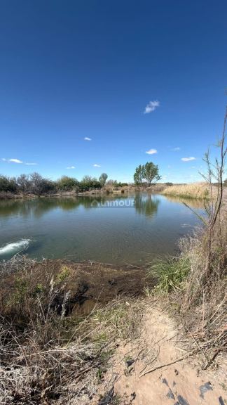 Finca en Venta en Lujan de Cuyo, Mendoza - USD 220.000 | Inmoup - 25