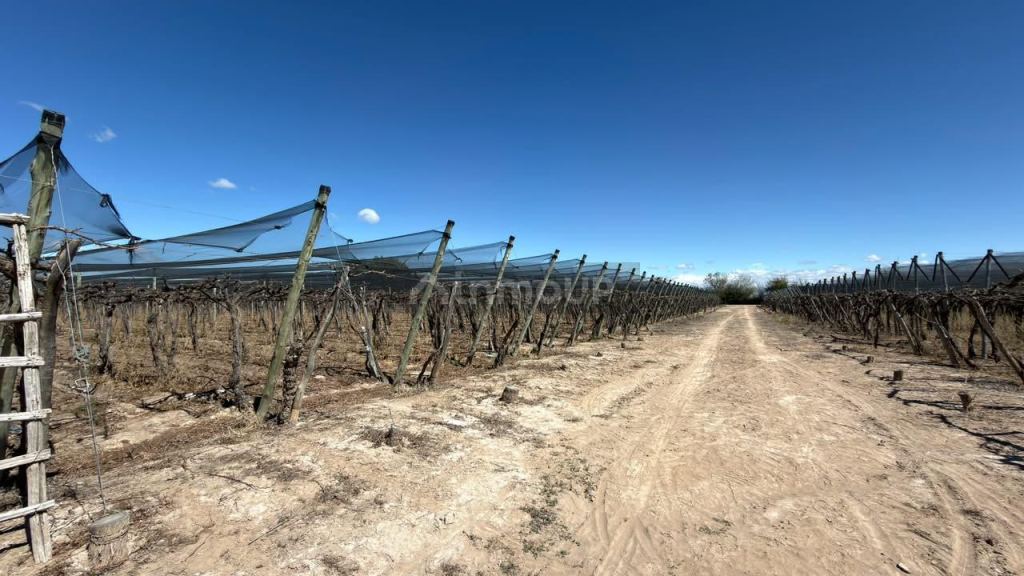 Finca en Venta en Lujan de Cuyo, Mendoza - USD 220.000 | Inmoup - 27