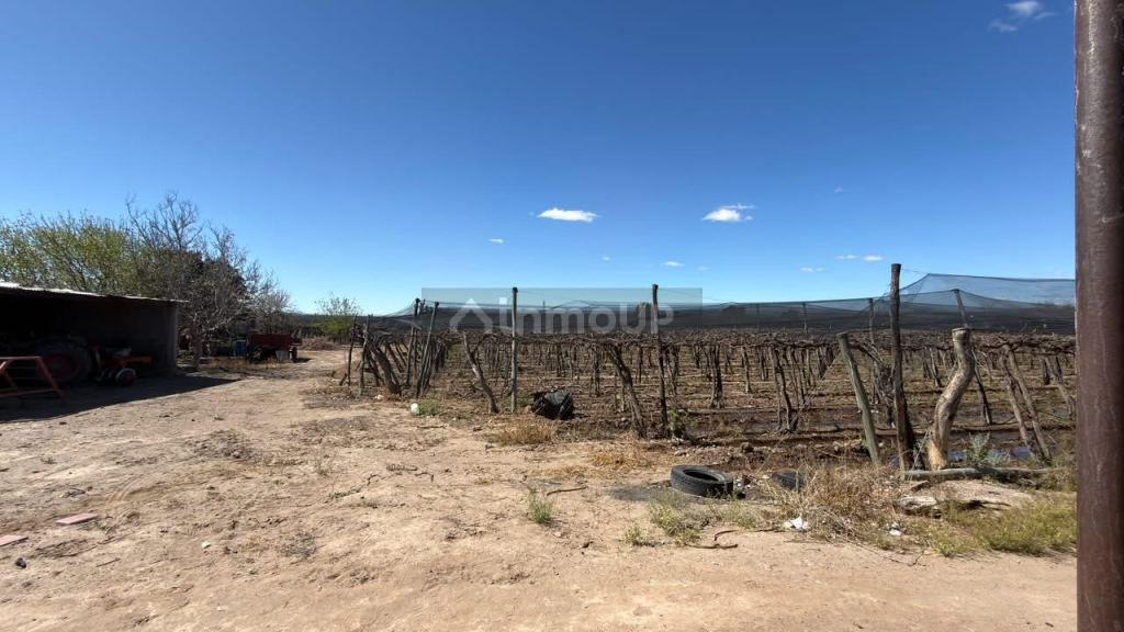 Finca en Venta en Lujan de Cuyo, Mendoza - USD 220.000 | Inmoup - 22
