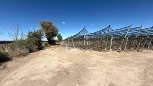 Lujan de Cuyo Calle Km. 49