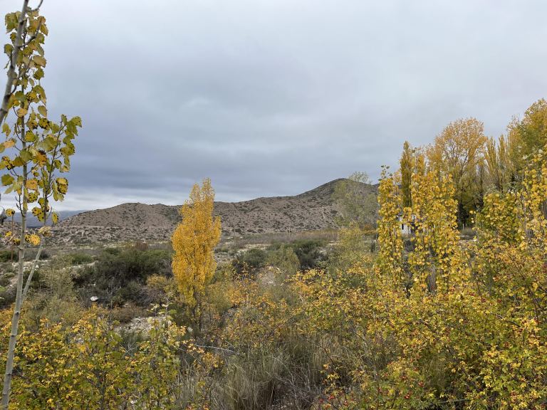 Lote en Venta en Lujan de Cuyo, Mendoza