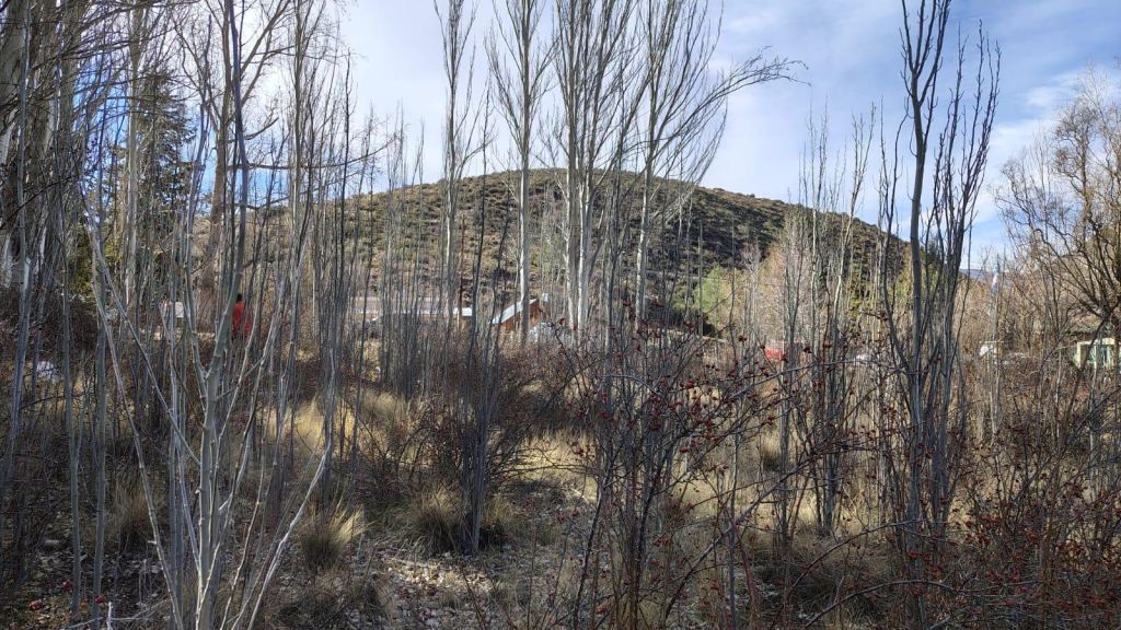 Lote en Venta en Lujan de Cuyo, Mendoza