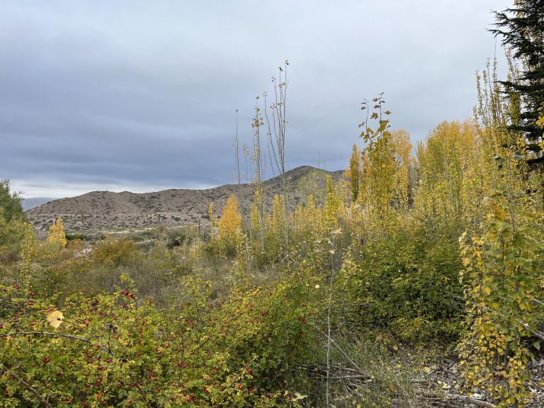 Lote en Venta en Lujan de Cuyo, Mendoza