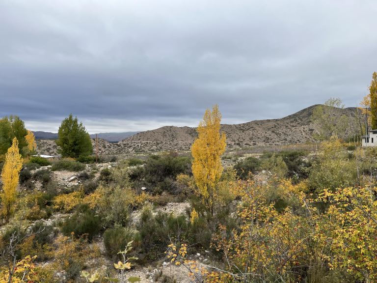 Lote en Venta en Lujan de Cuyo, Mendoza