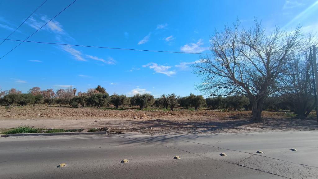 Terreno en Venta en Guaymallen, Mendoza