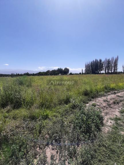 Campo en Alquiler en San Carlos, Mendoza