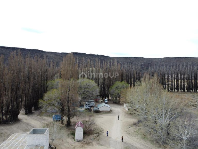 Campo en Venta en Pilcaniyeu, Rio Negro