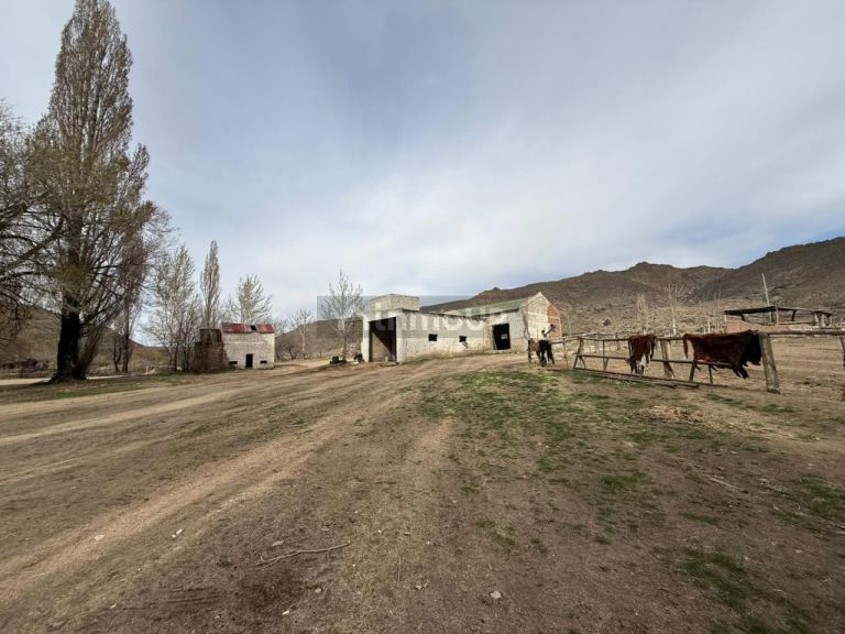 Campo en Venta en Pilcaniyeu, Rio Negro