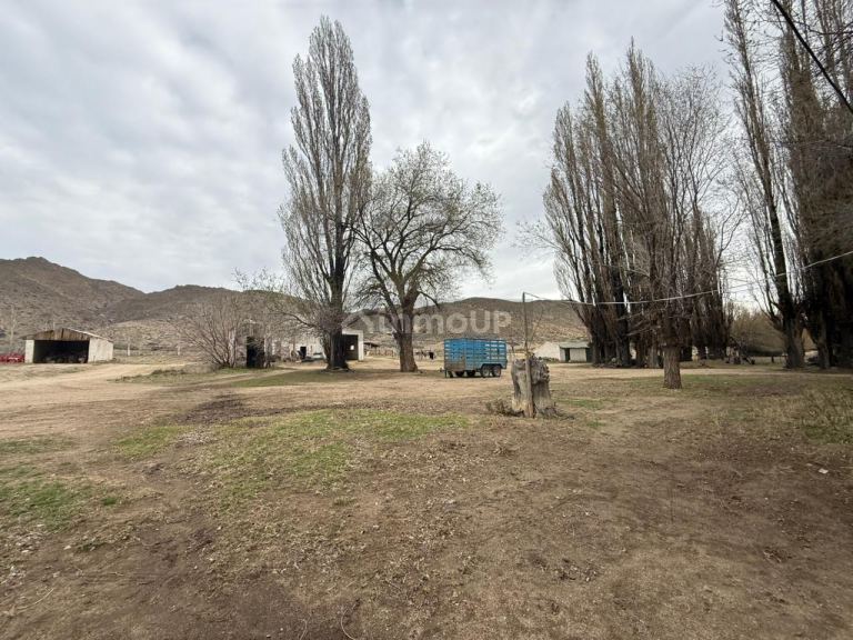 Campo en Venta en Pilcaniyeu, Rio Negro