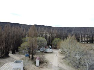 Pilcaniyeu 1800 Ha. en venta