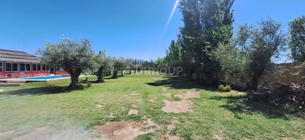 Quinta en Venta en Maipu, Mendoza