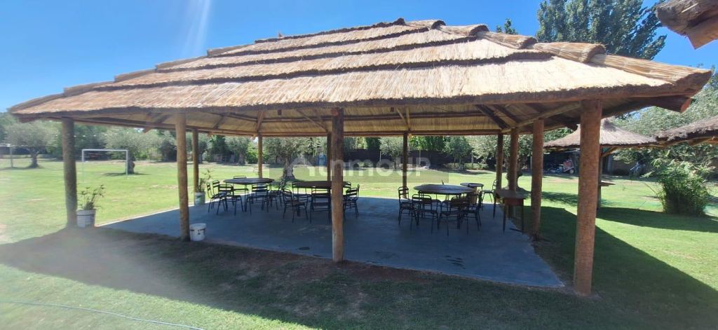 Quinta en Venta en Maipu, Mendoza