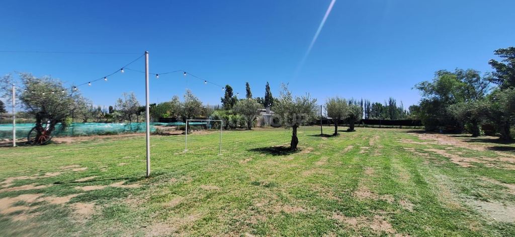 Quinta en Venta en Maipu, Mendoza