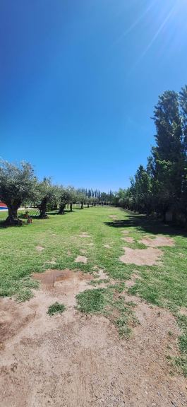 Quinta en Venta en Maipu, Mendoza