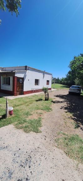 Quinta en Venta en Maipu, Mendoza