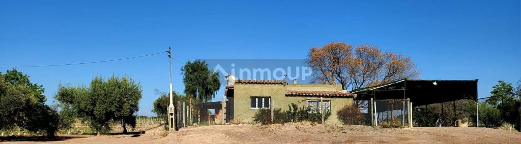 Finca en Venta en Lujan de Cuyo, Mendoza