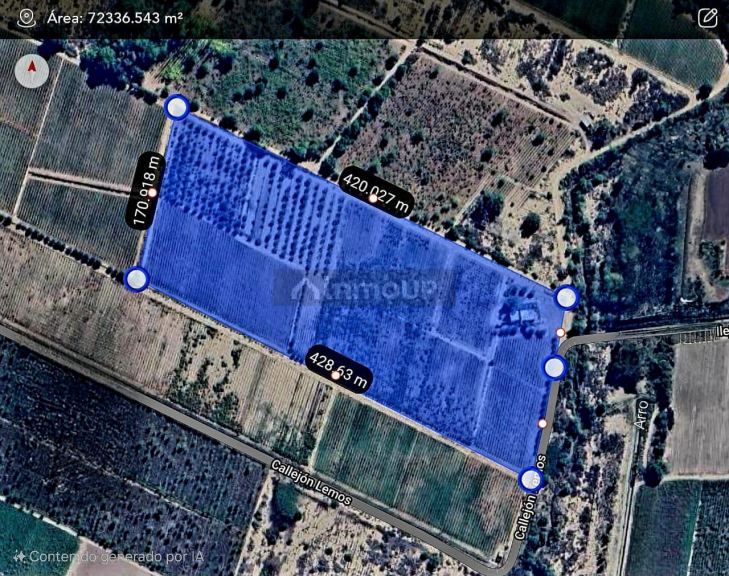 Finca en Venta en Lujan de Cuyo, Mendoza