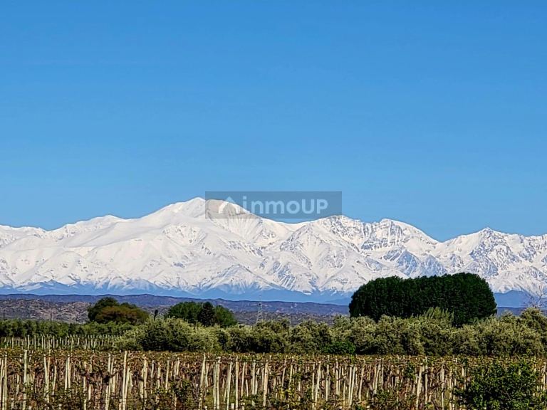 Finca en Venta en Lujan de Cuyo, Mendoza