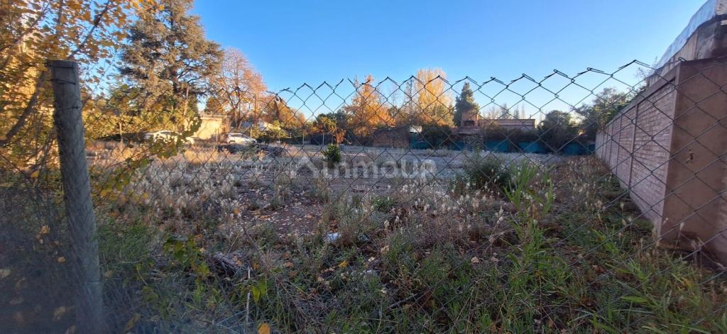 Lote en Venta en Lujan de Cuyo, Mendoza