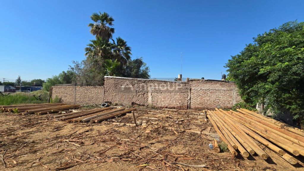 Lote en Venta en Lavalle, Mendoza