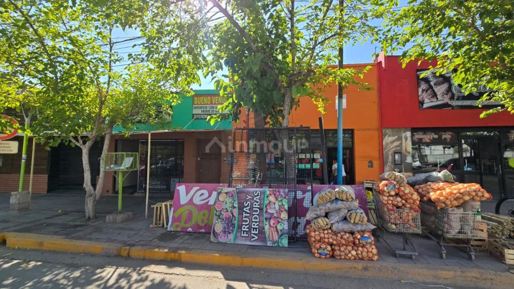 Lote en Venta en Lavalle, Mendoza