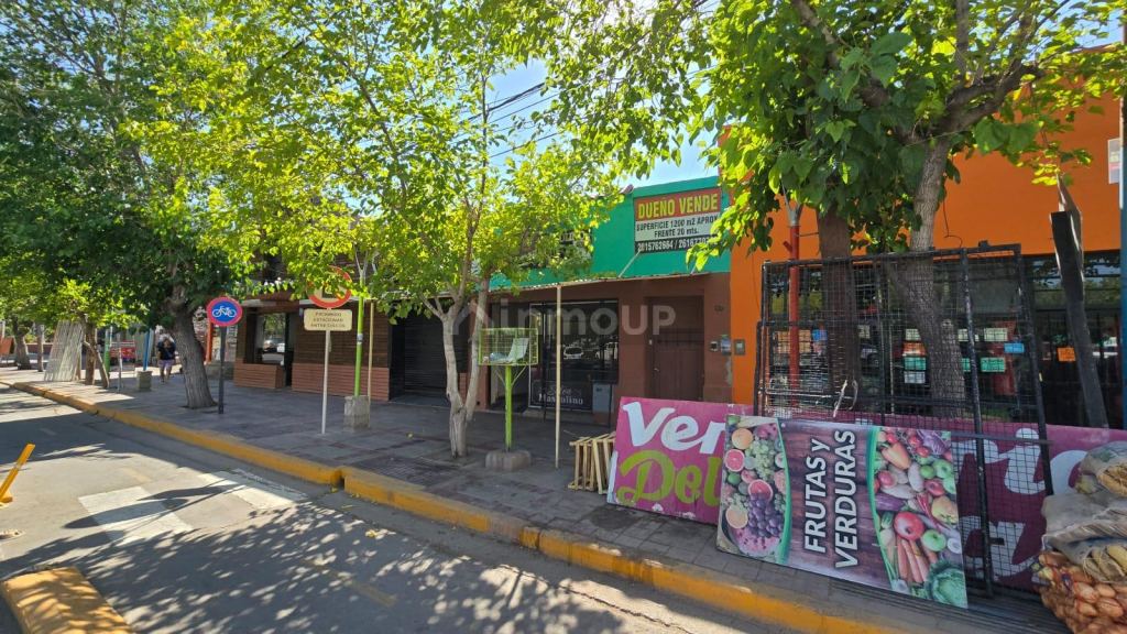 Lote en Venta en Lavalle, Mendoza