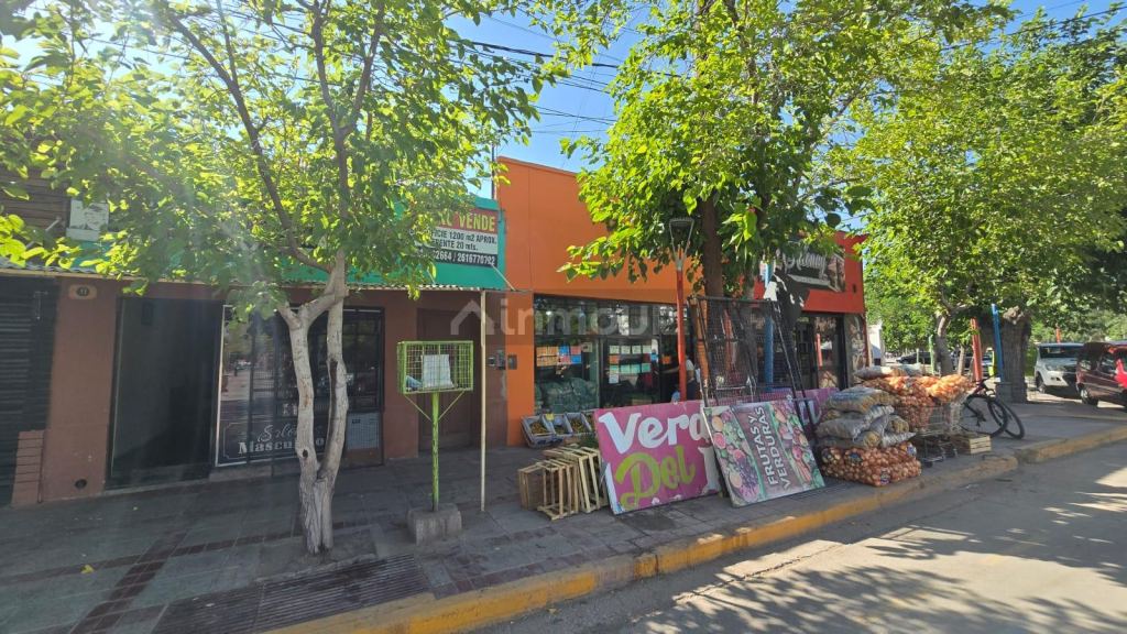 Lote en Venta en Lavalle, Mendoza