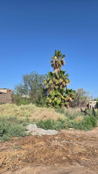 Lote en Venta en Lavalle, Mendoza