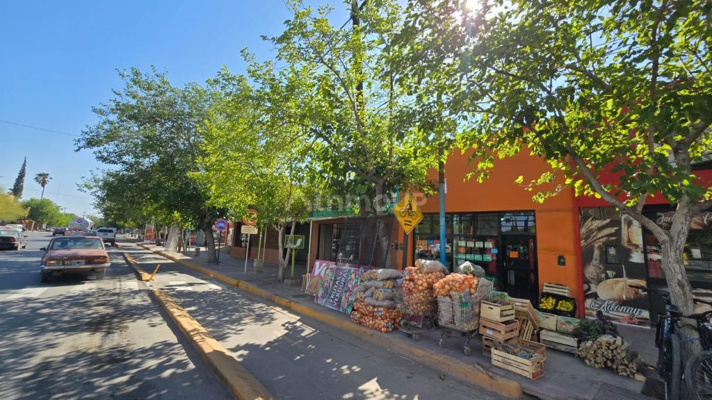 Lote en Venta en Lavalle, Mendoza
