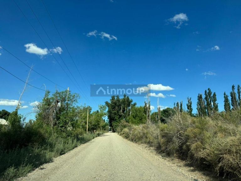 Finca en Venta en Lavalle, Mendoza