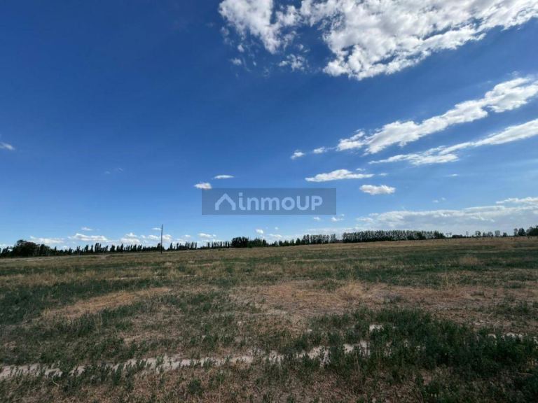 Finca en Venta en Lavalle, Mendoza