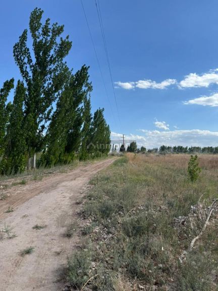 Finca en Venta en Lavalle, Mendoza