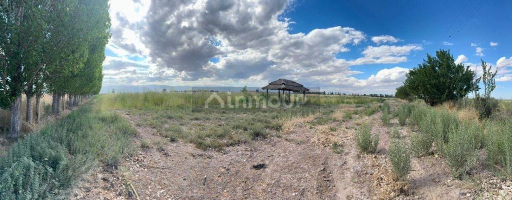 Finca en Venta en Lavalle, Mendoza