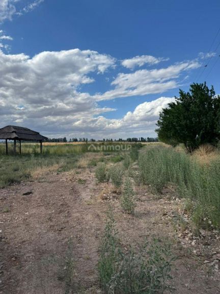 Finca en Venta en Lavalle, Mendoza