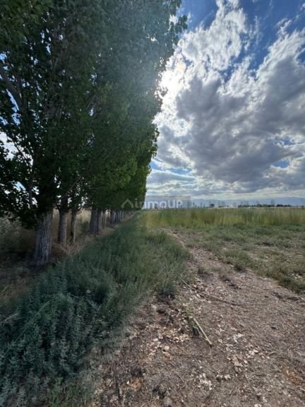 Finca en Venta en Lavalle, Mendoza