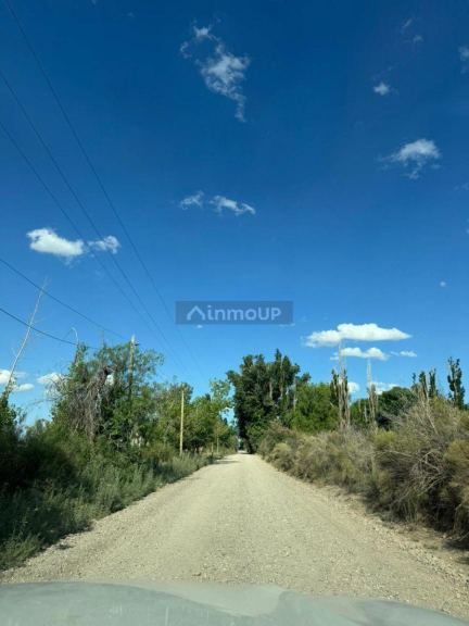 Finca en Venta en Lavalle, Mendoza