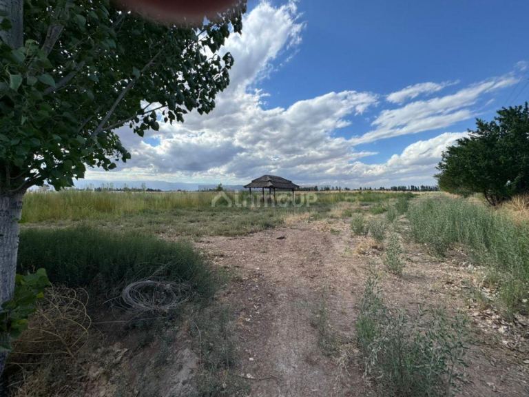 Finca en Venta en Lavalle, Mendoza