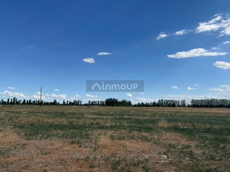 Finca en Venta en Lavalle, Mendoza