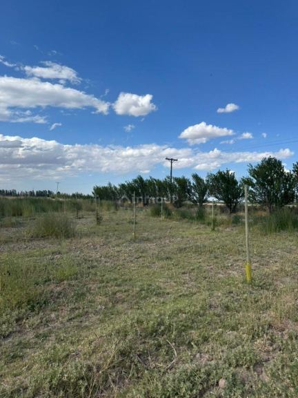 Finca en Venta en Lavalle, Mendoza