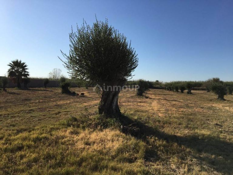 Lote en Venta en Guaymallen, Mendoza
