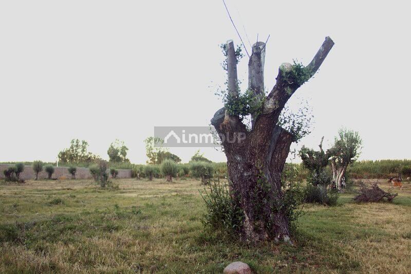 Lote en Venta en Guaymallen, Mendoza