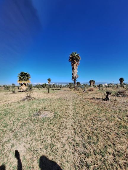 Lote en Venta en Guaymallen, Mendoza