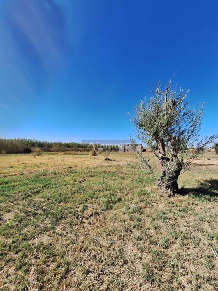 Lote en Venta en Guaymallen, Mendoza