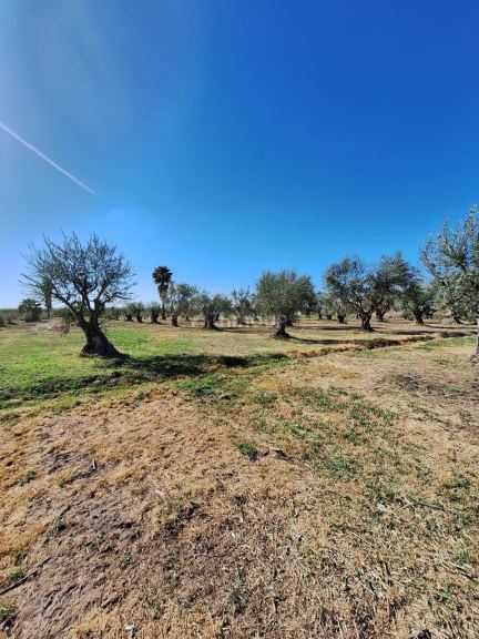 Lote en Venta en Guaymallen, Mendoza