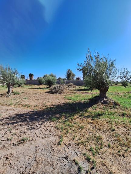 Lote en Venta en Guaymallen, Mendoza
