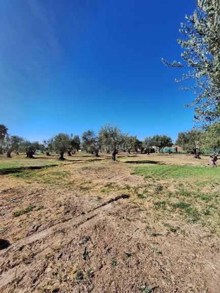 Lote en Venta en Guaymallen, Mendoza