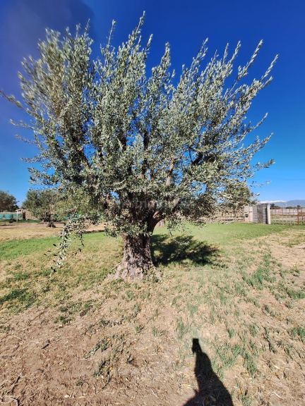 Lote en Venta en Guaymallen, Mendoza